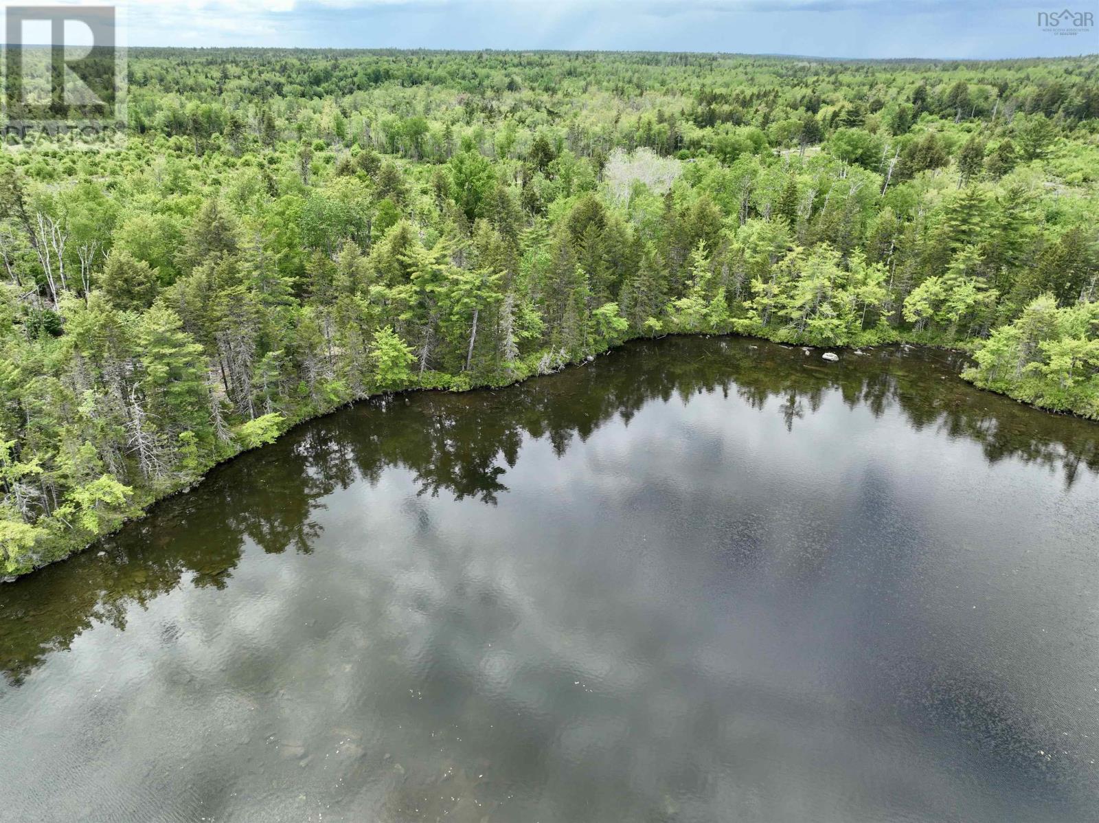 Payzant Lake, Whiteburn Mines, Nova Scotia  B0T 1B0 - Photo 13 - 202412749