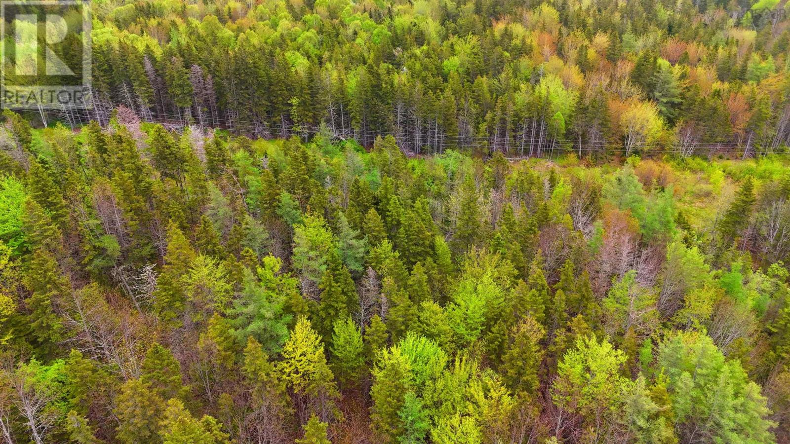 103 Acres On East Lake Ainslie Rd, East Lake Ainslie, Nova Scotia  B0E 3M0 - Photo 10 - 202412759