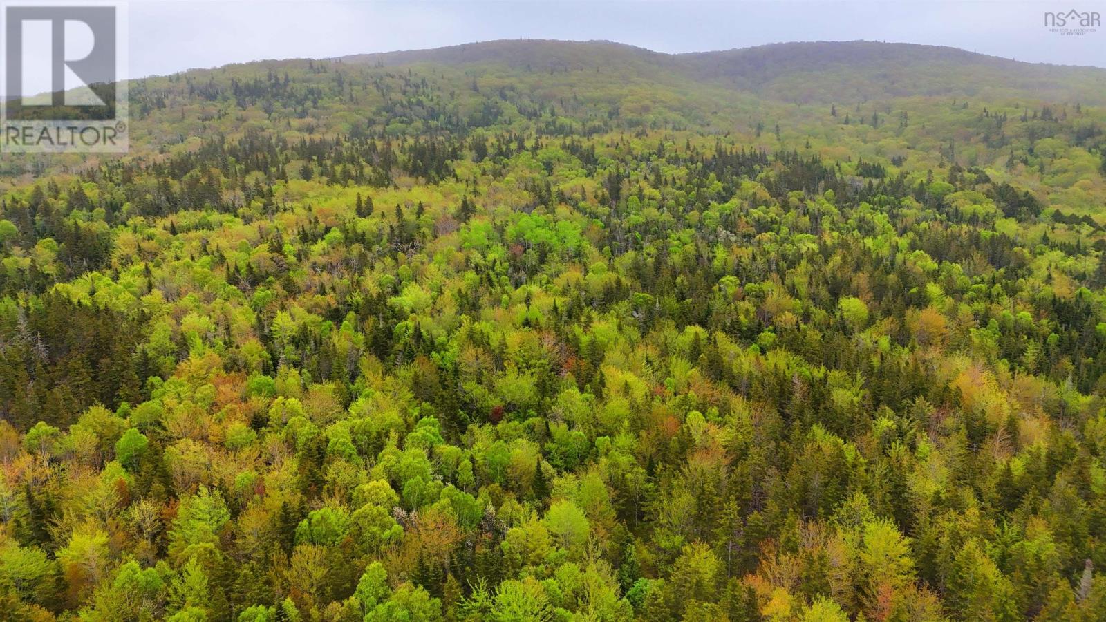 103 Acres On East Lake Ainslie Rd, East Lake Ainslie, Nova Scotia  B0E 3M0 - Photo 12 - 202412759