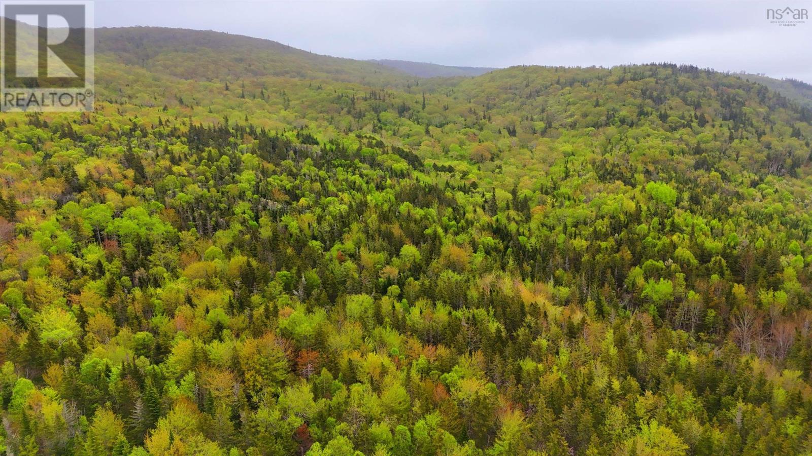 103 Acres On East Lake Ainslie Rd, East Lake Ainslie, Nova Scotia  B0E 3M0 - Photo 17 - 202412759