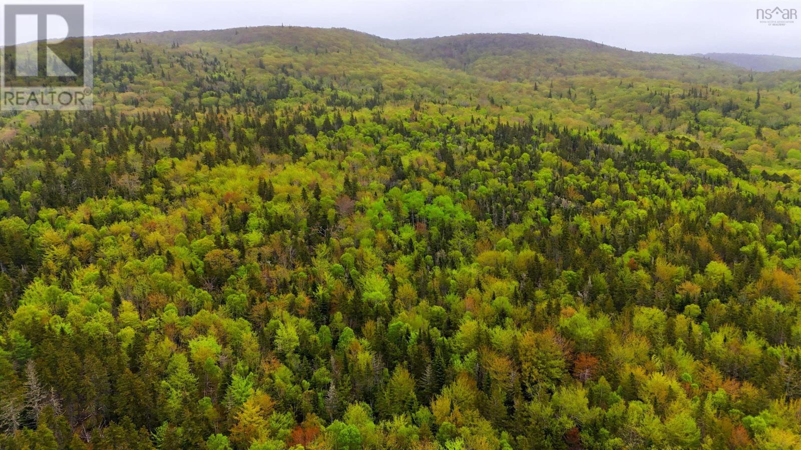 103 Acres On East Lake Ainslie Rd, East Lake Ainslie, Nova Scotia  B0E 3M0 - Photo 18 - 202412759