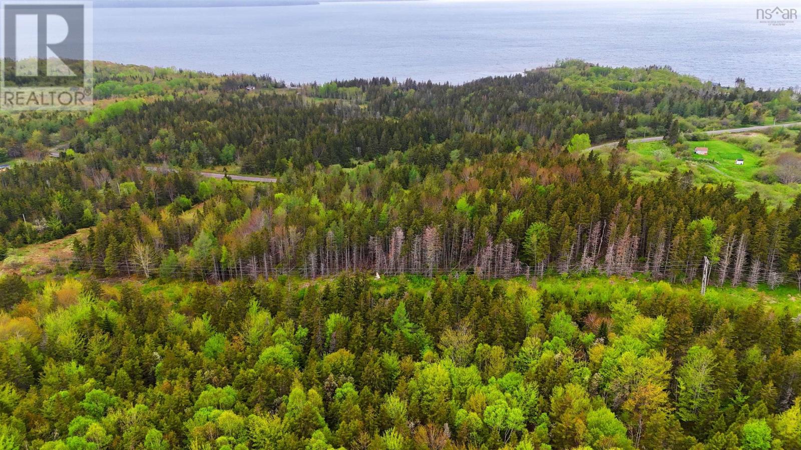 103 Acres On East Lake Ainslie Rd, East Lake Ainslie, Nova Scotia  B0E 3M0 - Photo 22 - 202412759