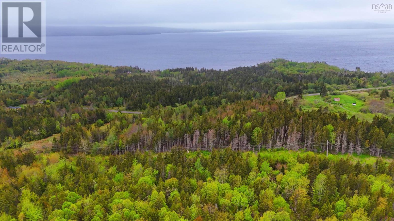 103 Acres On East Lake Ainslie Rd, East Lake Ainslie, Nova Scotia  B0E 3M0 - Photo 23 - 202412759