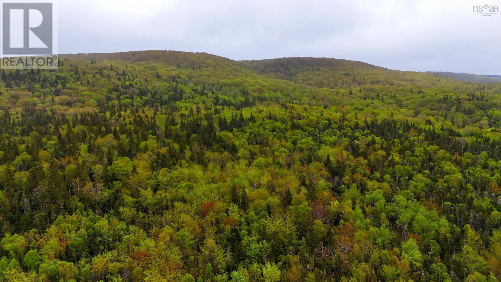 103 Acres On East Lake Ainslie Rd, East Lake Ainslie, Nova Scotia  B0E 3M0 - Photo 28 - 202412759