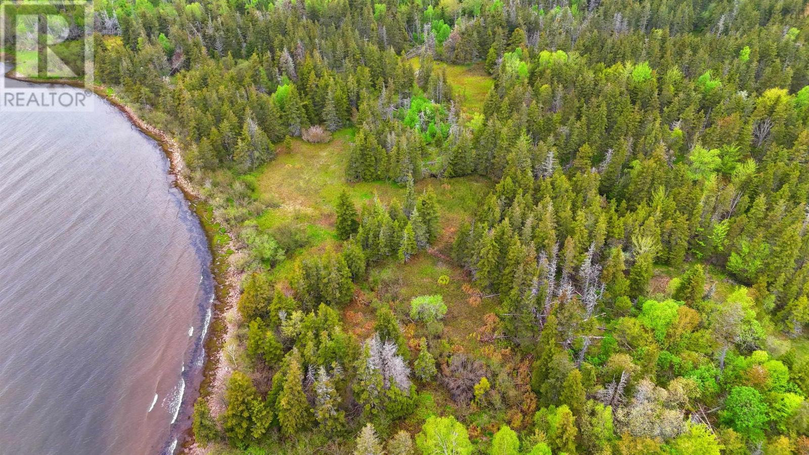 103 Acres On East Lake Ainslie Rd, East Lake Ainslie, Nova Scotia  B0E 3M0 - Photo 42 - 202412759