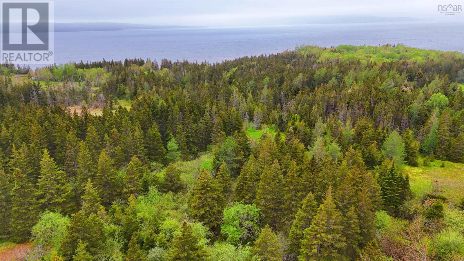 103 Acres On East Lake Ainslie Rd, East Lake Ainslie, Nova Scotia  B0E 3M0 - Photo 5 - 202412759