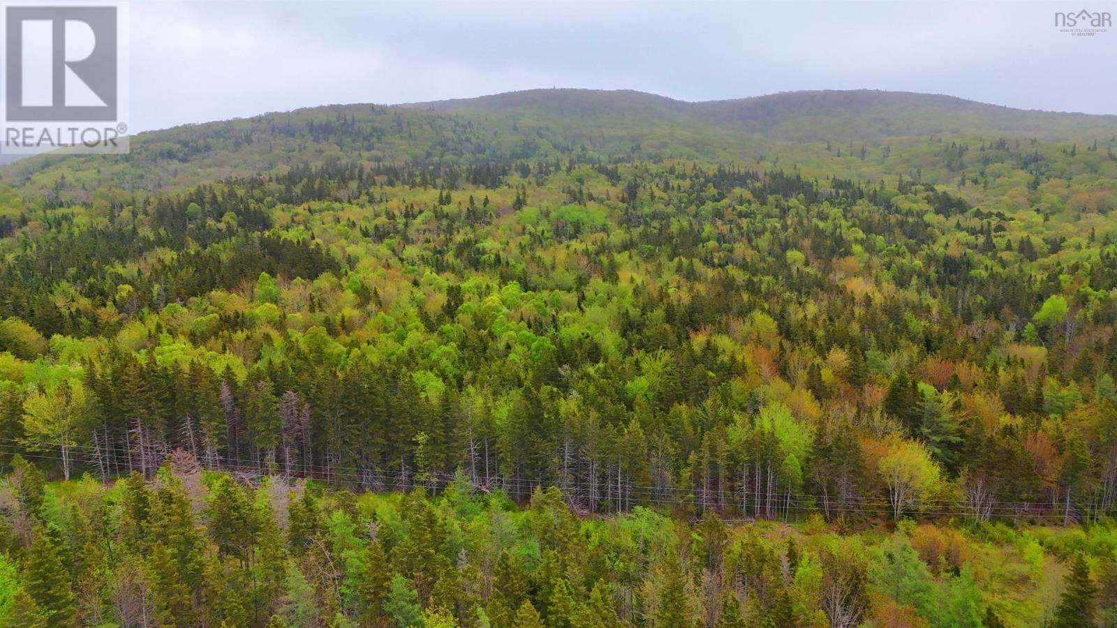 103 Acres On East Lake Ainslie Rd, East Lake Ainslie, Nova Scotia  B0E 3M0 - Photo 9 - 202412759