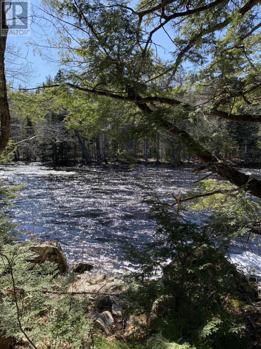 Medway River Road, Riversdale, Nova Scotia  B0J 2H0 - Photo 2 - 202412836