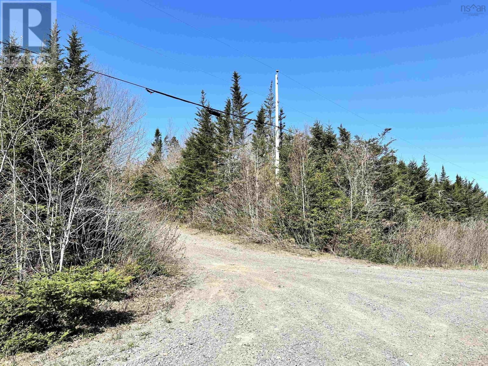 Grant 16738 Moser River North Road, Moser River, Nova Scotia  B0J 2K0 - Photo 10 - 202412847