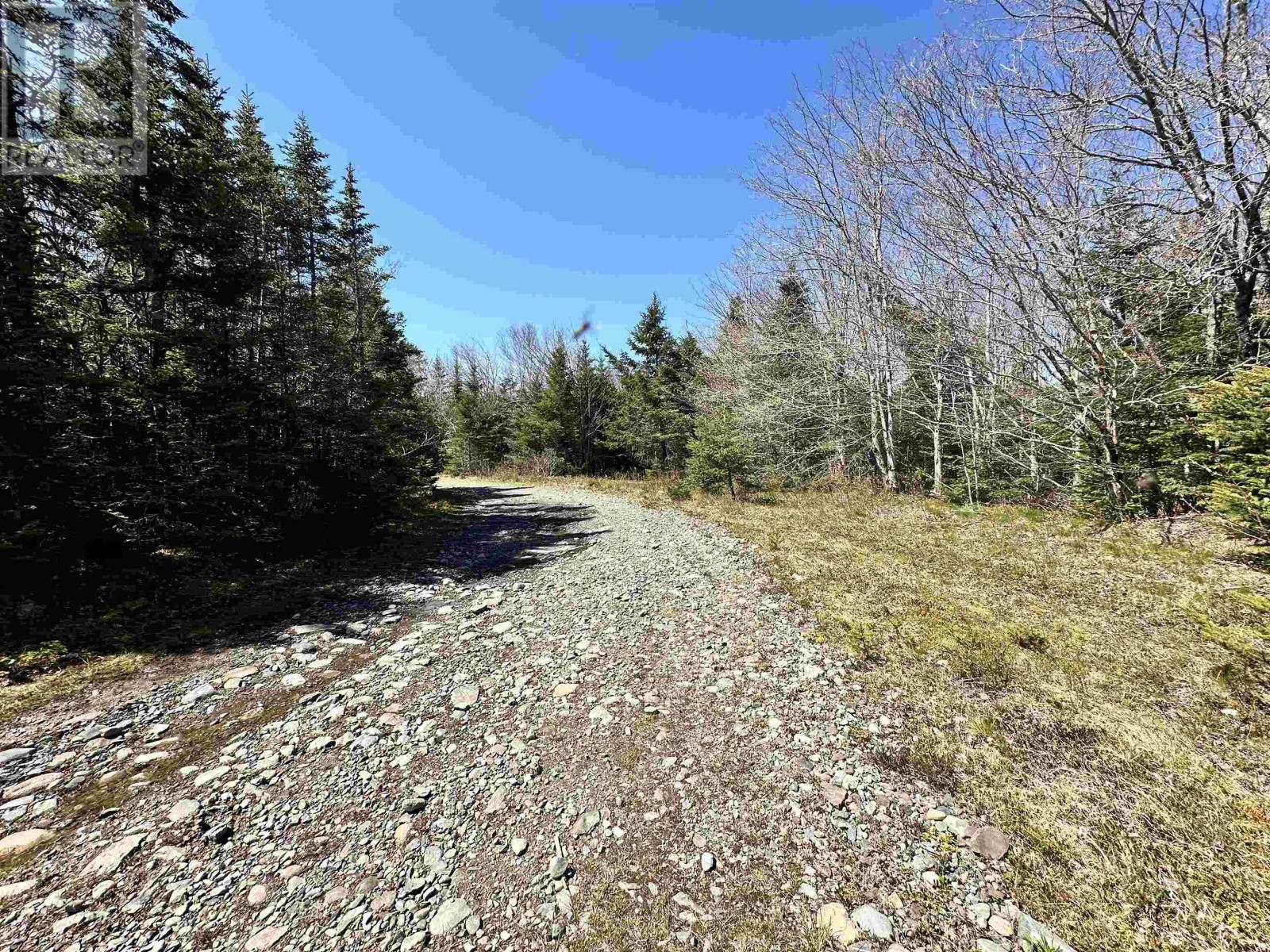 Grant 16738 Moser River North Road, Moser River, Nova Scotia  B0J 2K0 - Photo 11 - 202412847