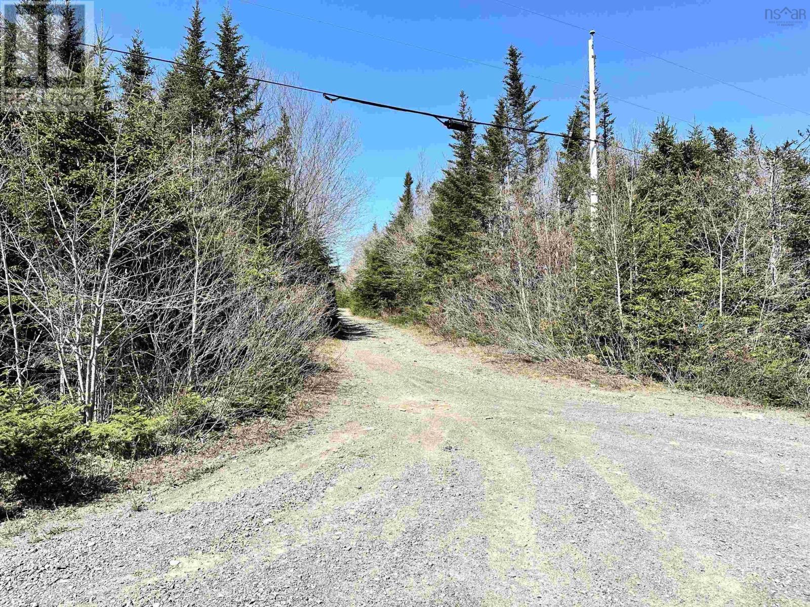 Grant 16738 Moser River North Road, Moser River, Nova Scotia  B0J 2K0 - Photo 4 - 202412847