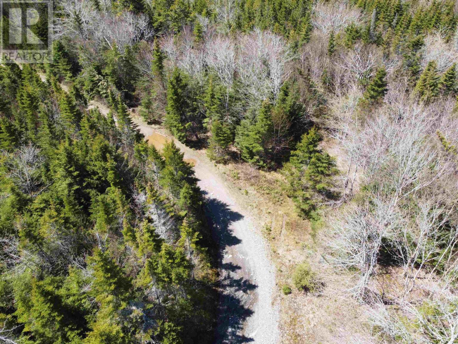 Grant 16738 Moser River North Road, Moser River, Nova Scotia  B0J 2K0 - Photo 5 - 202412847