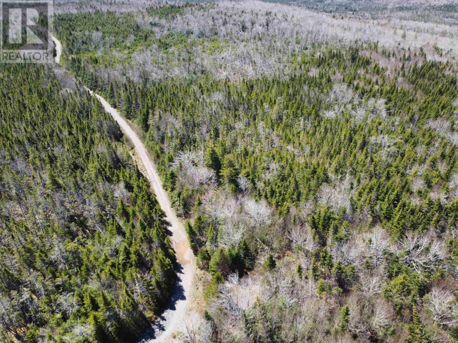 Grant 16738 Moser River North Road, Moser River, Nova Scotia  B0J 2K0 - Photo 8 - 202412847