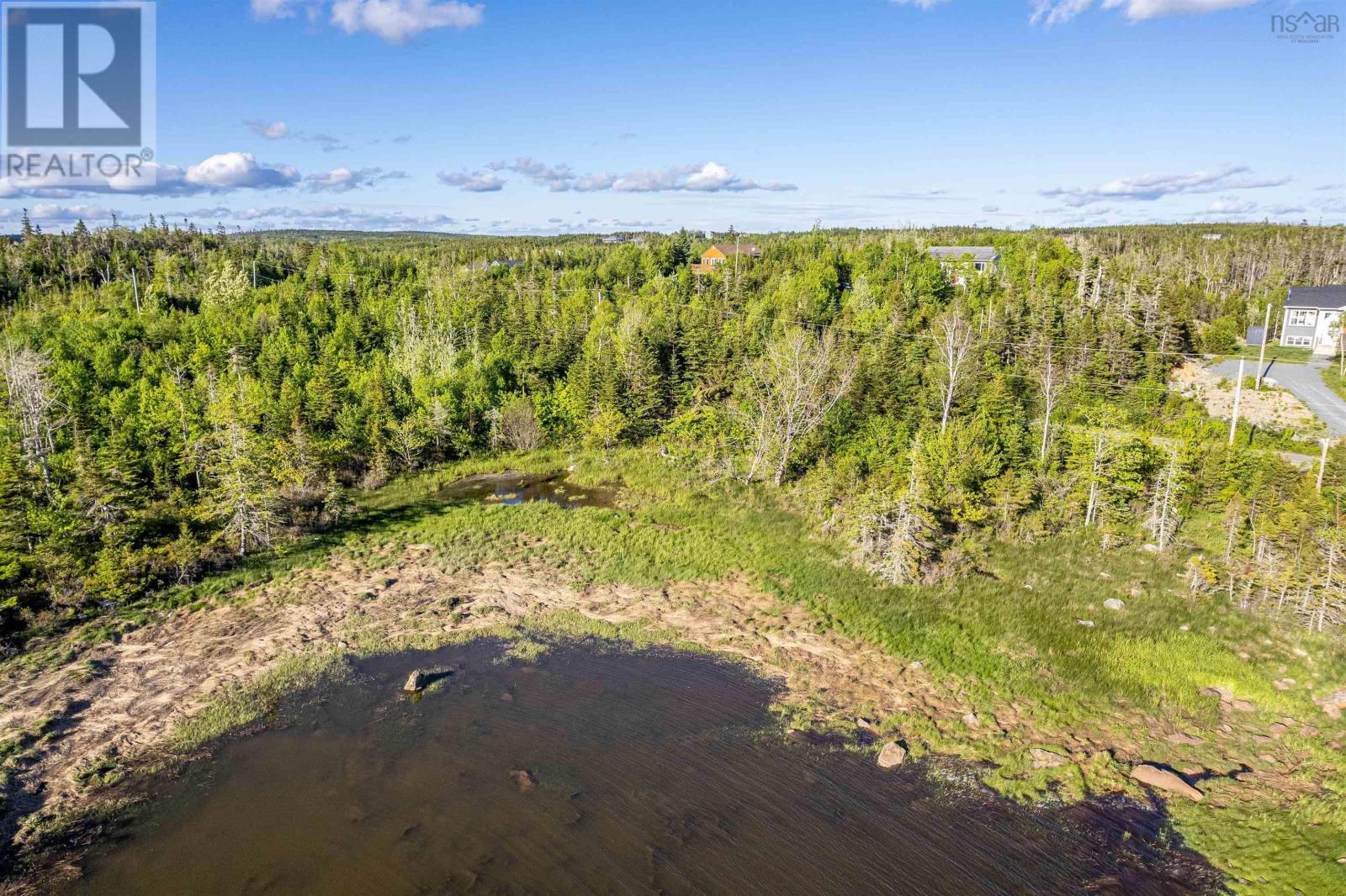 Ostrea Lake Road, Ostrea Lake, Nova Scotia  B0J 2L0 - Photo 11 - 202412879