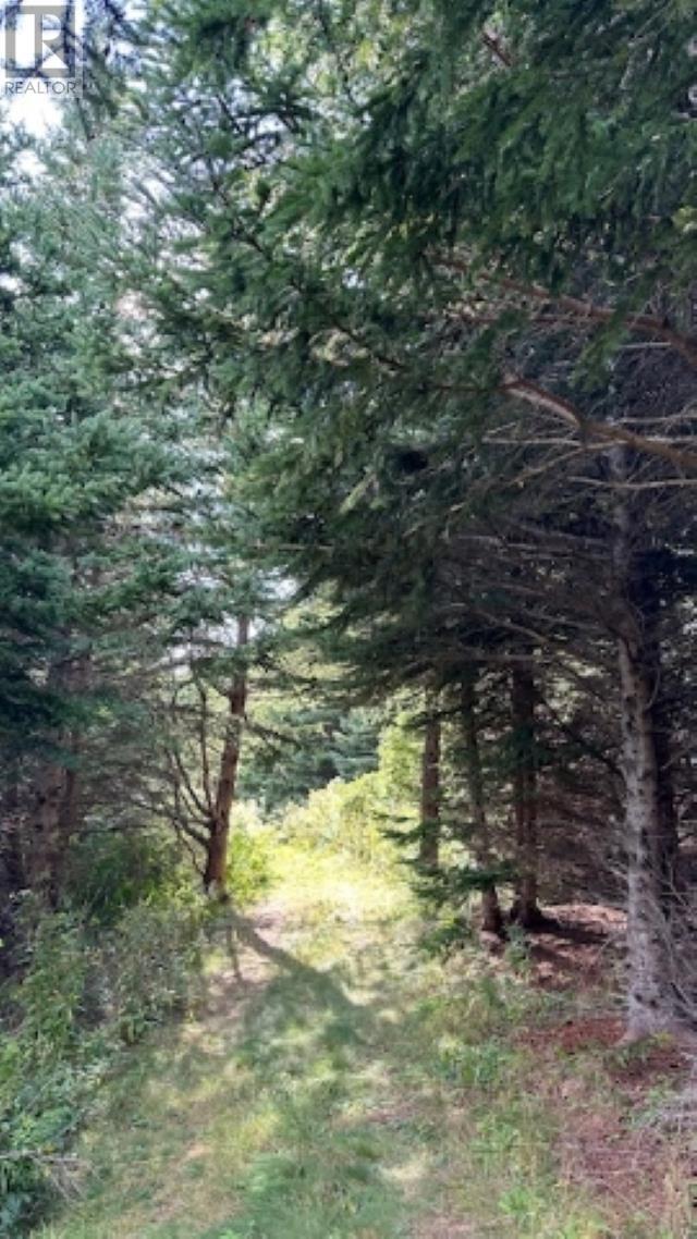 Highway 19, Long Point, Nova Scotia  B0E 1P0 - Photo 20 - 202412902