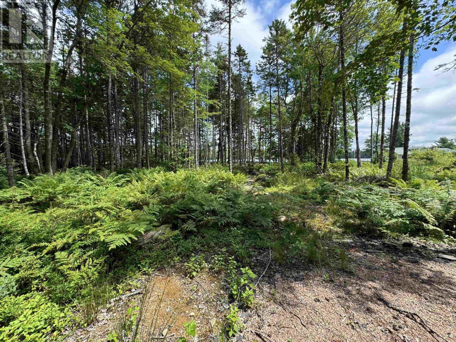 Lot 1 East Lake Road, New Albany, Nova Scotia  B0S 1P0 - Photo 14 - 202412905