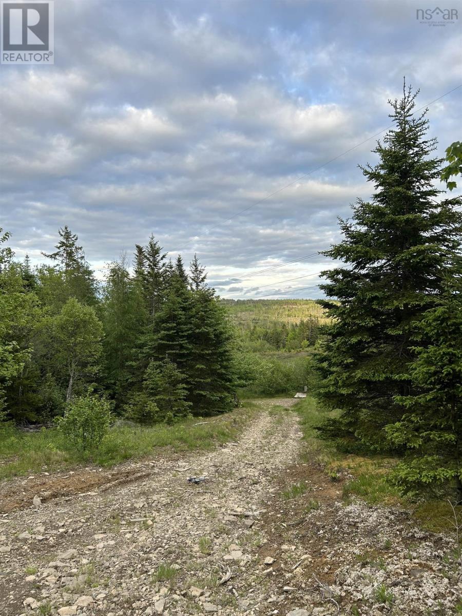 Highway 311, Upper North River, Nova Scotia  B6L 6J7 - Photo 8 - 202412965