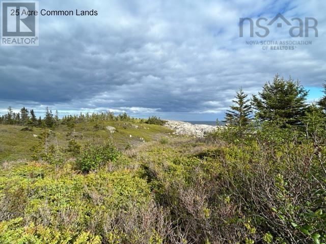 Lots 1a, 2a, 3a Island Watch Run, Coleman's Cove, Nova Scotia  B0J 1T0 - Photo 14 - 202412990