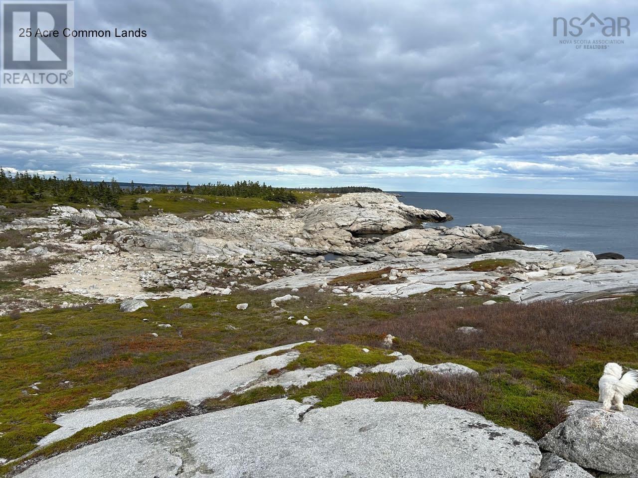 Lots 1a, 2a, 3a Island Watch Run, Coleman's Cove, Nova Scotia  B0J 1T0 - Photo 16 - 202412990