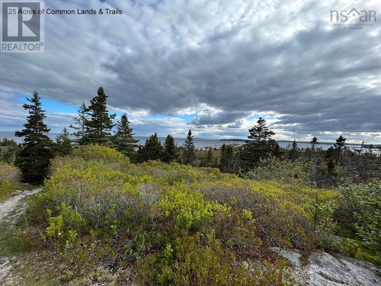 Lots 1a, 2a, 3a Island Watch Run, Coleman's Cove, Nova Scotia  B0J 1T0 - Photo 17 - 202412990