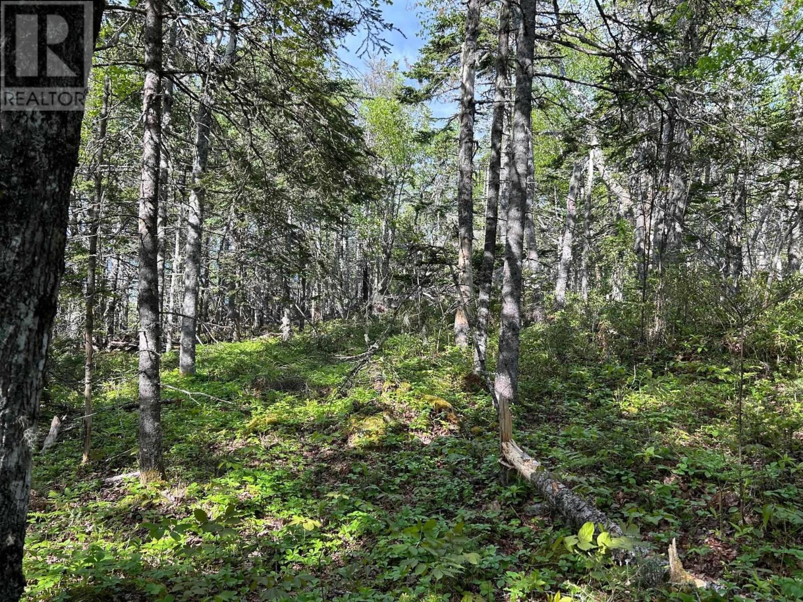 Lots 1a, 2a, 3a Island Watch Run, Coleman's Cove, Nova Scotia  B0J 1T0 - Photo 5 - 202412990