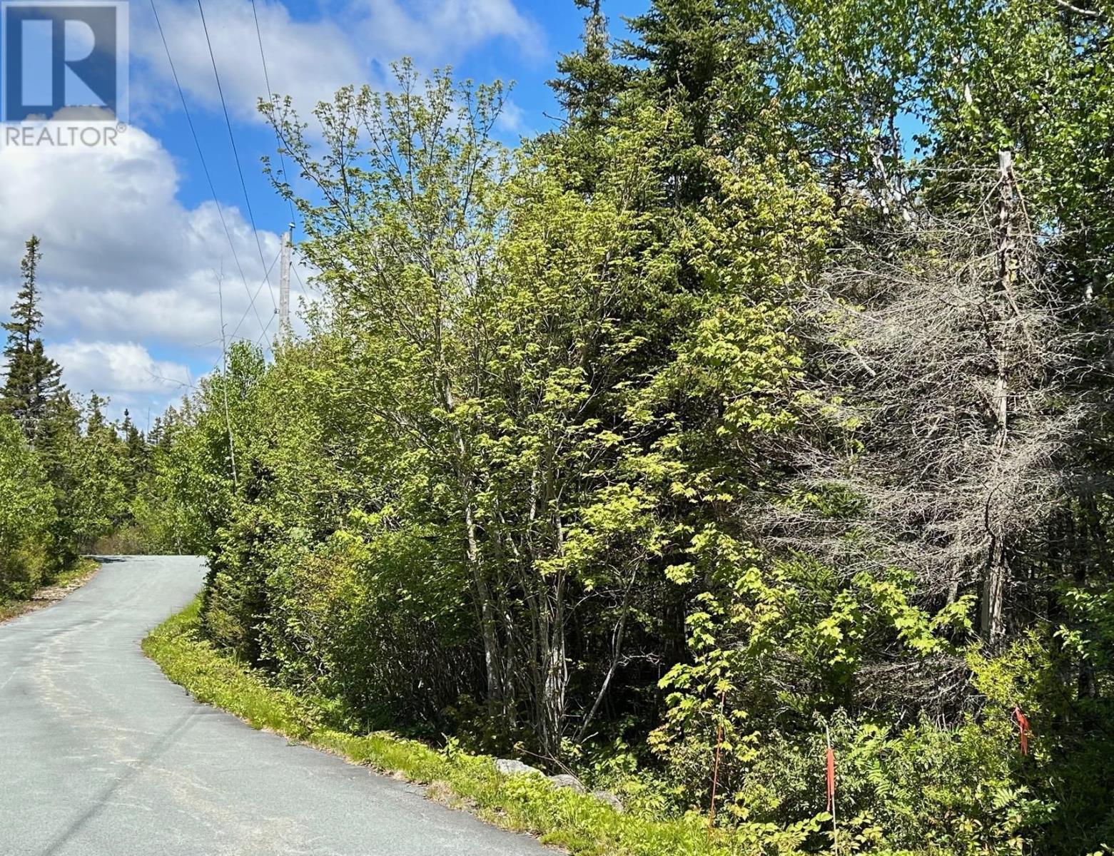 Lots 1a, 2a, 3a Island Watch Run, Coleman's Cove, Nova Scotia  B0J 1T0 - Photo 8 - 202412990