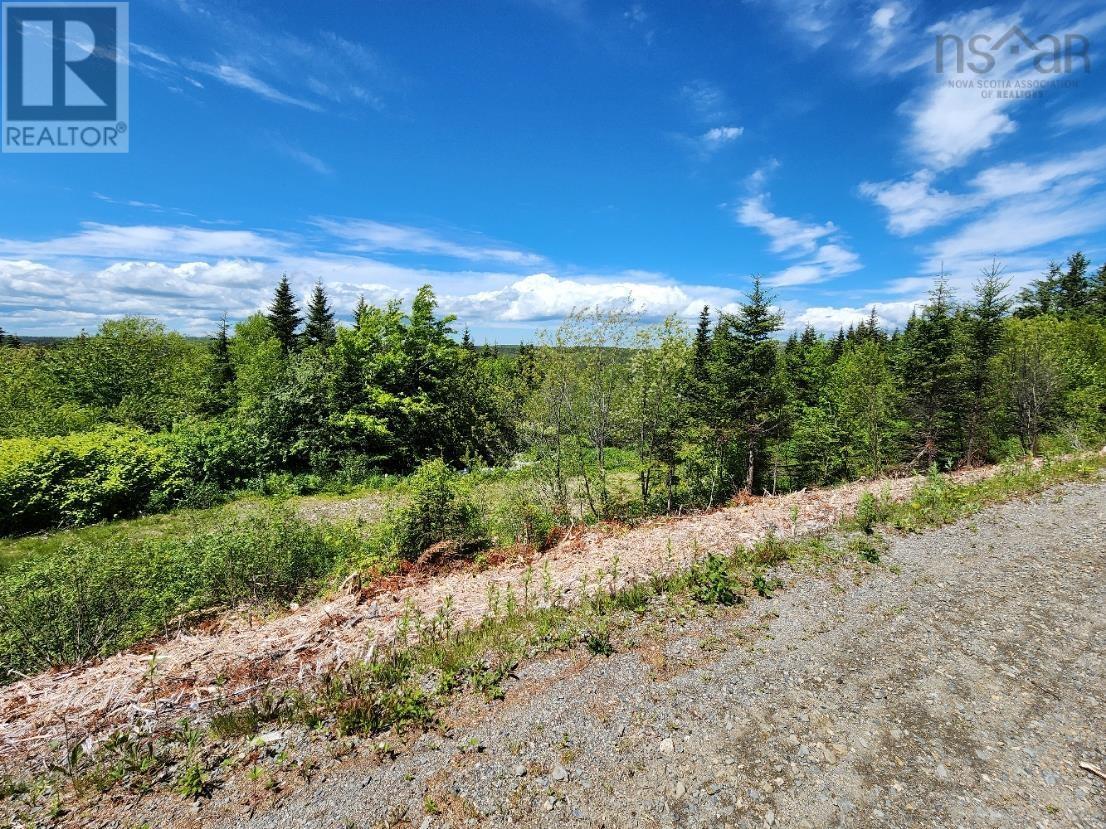 Larrys River Road, Lundy, Nova Scotia  B0H 1N0 - Photo 2 - 202412999