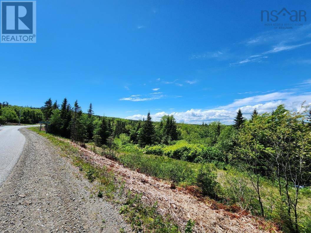 Larrys River Road, Lundy, Nova Scotia  B0H 1N0 - Photo 3 - 202412999