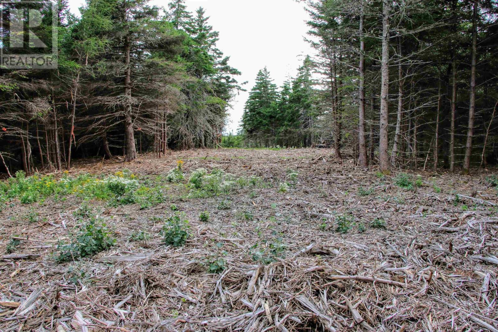 Highway 16, Hazel Hill, Nova Scotia  B0H 1H0 - Photo 10 - 202413031