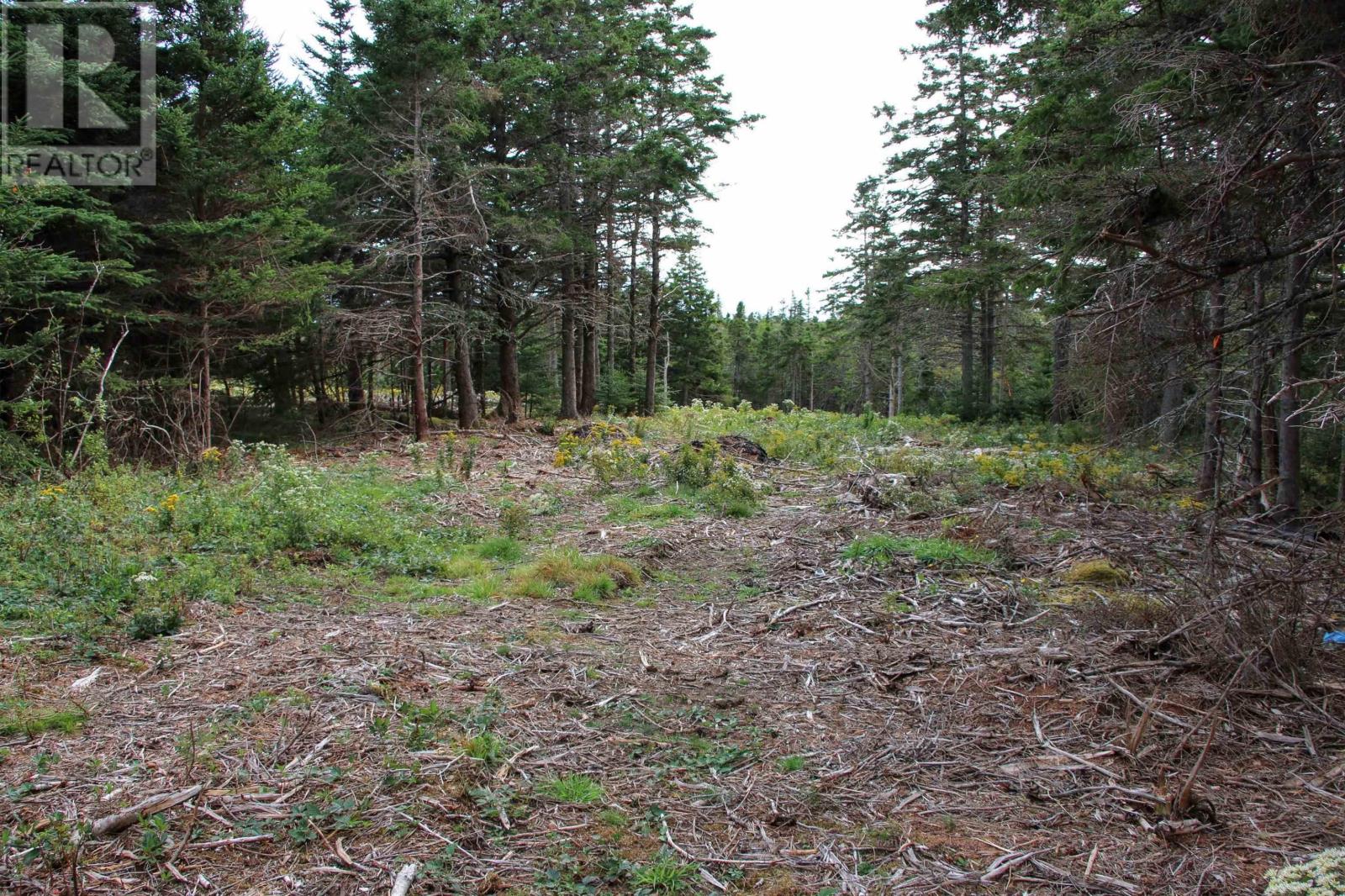 Highway 16, Hazel Hill, Nova Scotia  B0H 1H0 - Photo 11 - 202413031