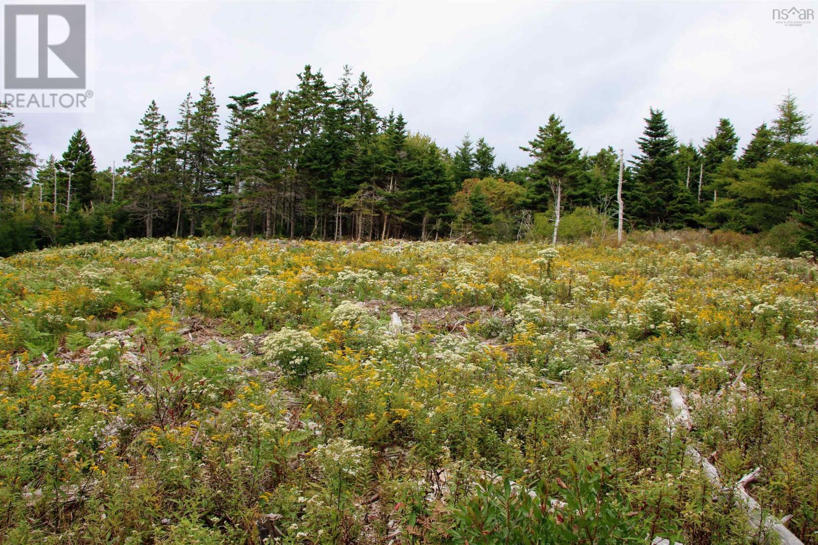 Highway 16, Hazel Hill, Nova Scotia  B0H 1H0 - Photo 14 - 202413031