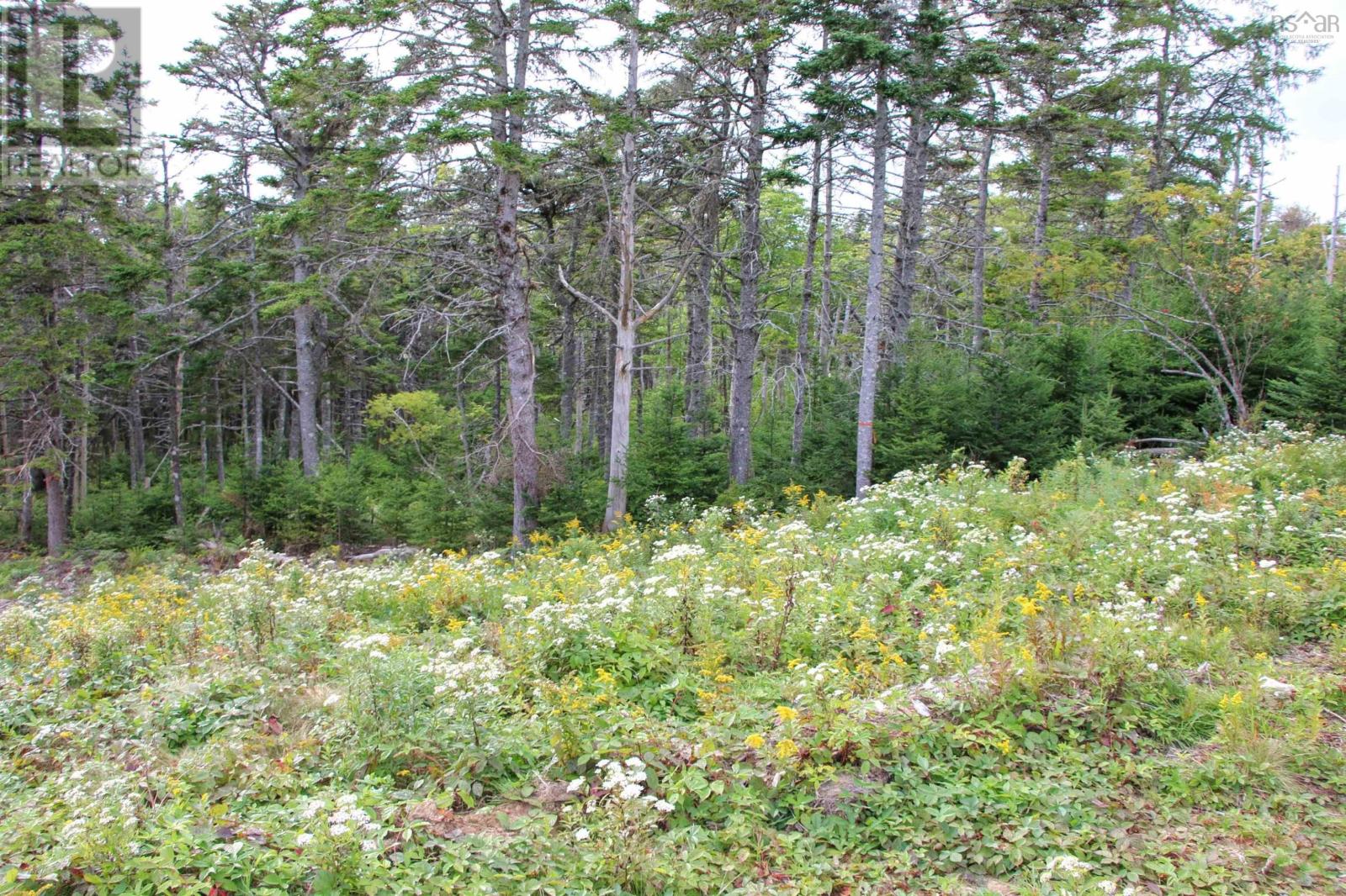 Highway 16, Hazel Hill, Nova Scotia  B0H 1H0 - Photo 17 - 202413031