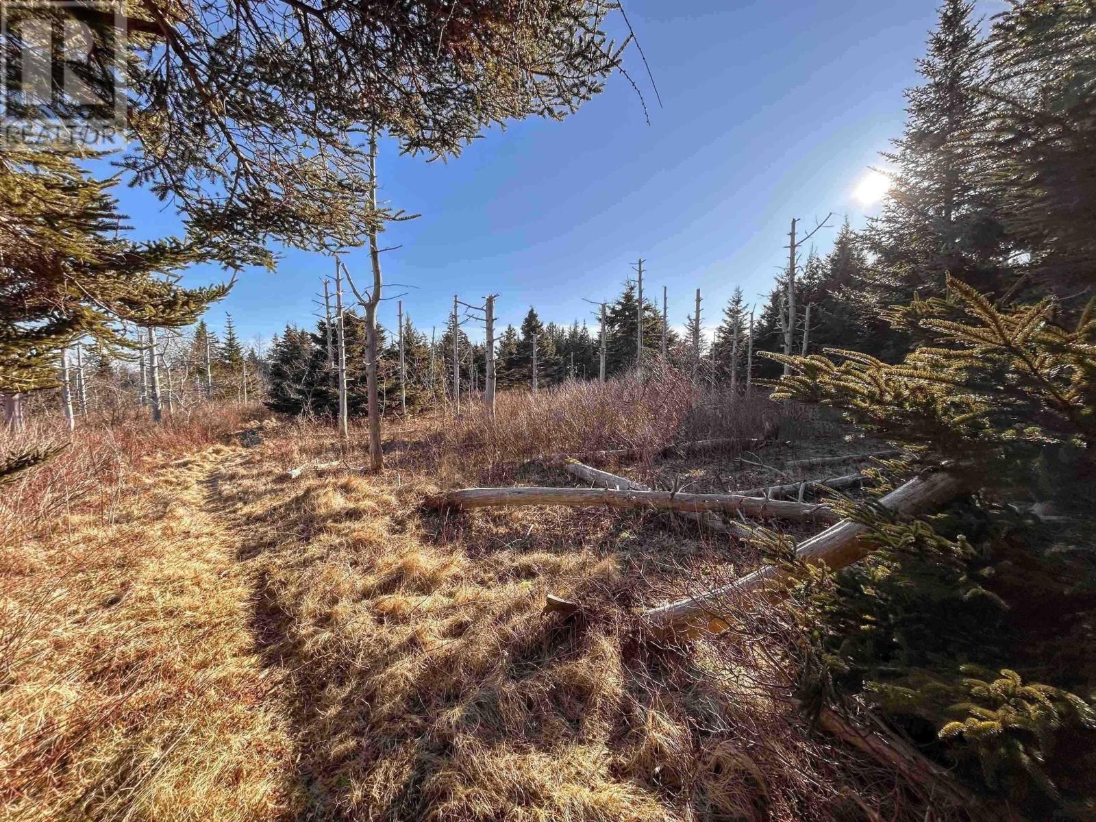 Highway 16, Hazel Hill, Nova Scotia  B0H 1H0 - Photo 22 - 202413031