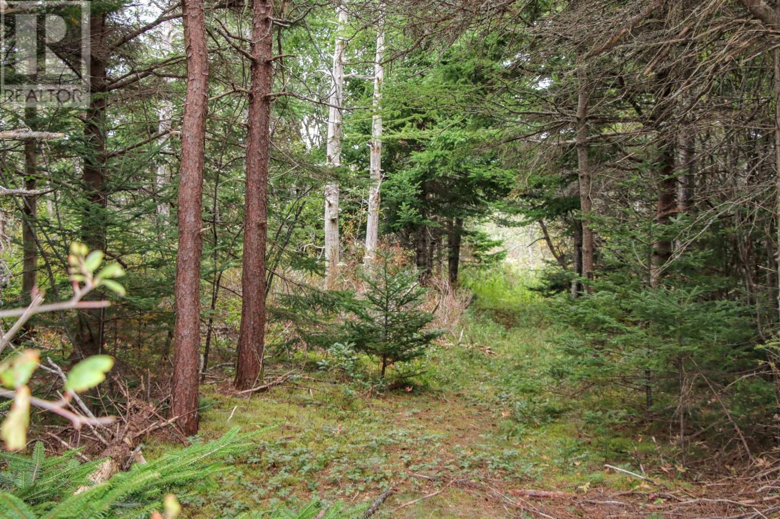 Highway 16, Hazel Hill, Nova Scotia  B0H 1H0 - Photo 23 - 202413031