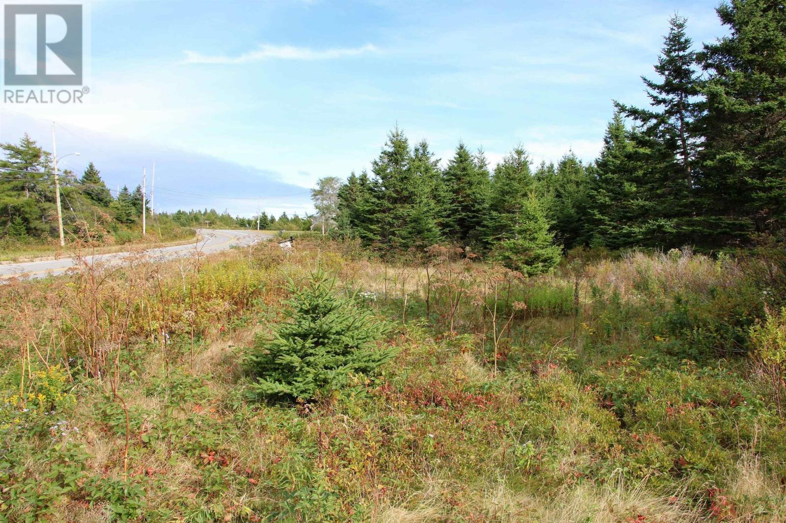 Highway 16, Hazel Hill, Nova Scotia  B0H 1H0 - Photo 3 - 202413031