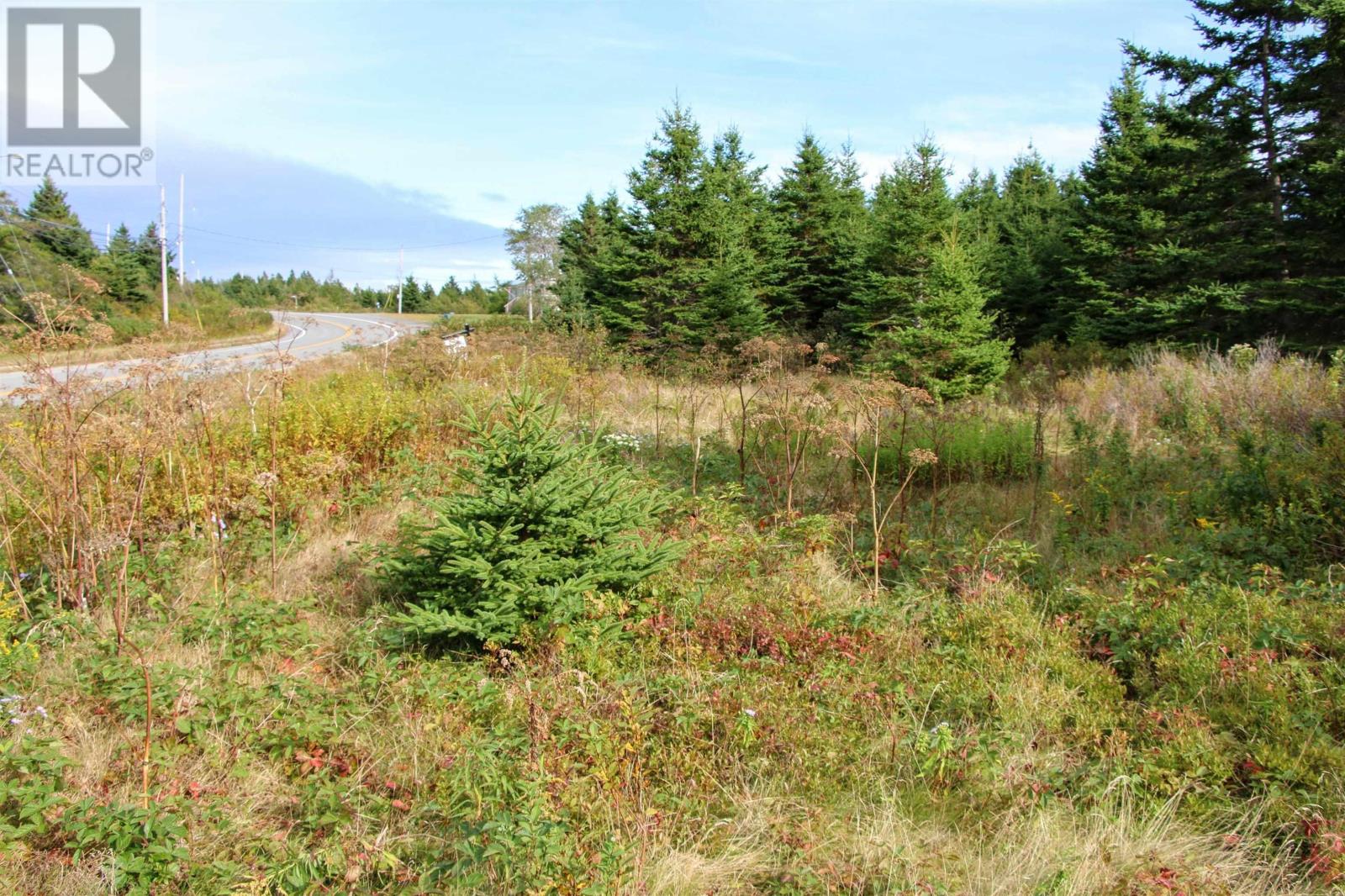 Highway 16, Hazel Hill, Nova Scotia  B0H 1H0 - Photo 37 - 202413031