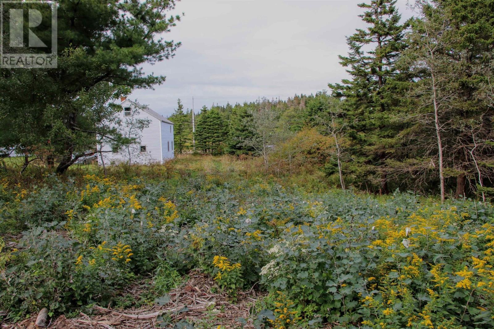 Highway 16, Hazel Hill, Nova Scotia  B0H 1H0 - Photo 8 - 202413031