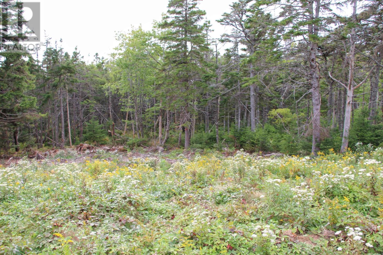 Highway 16, Hazel Hill, Nova Scotia  B0H 1H0 - Photo 9 - 202413031