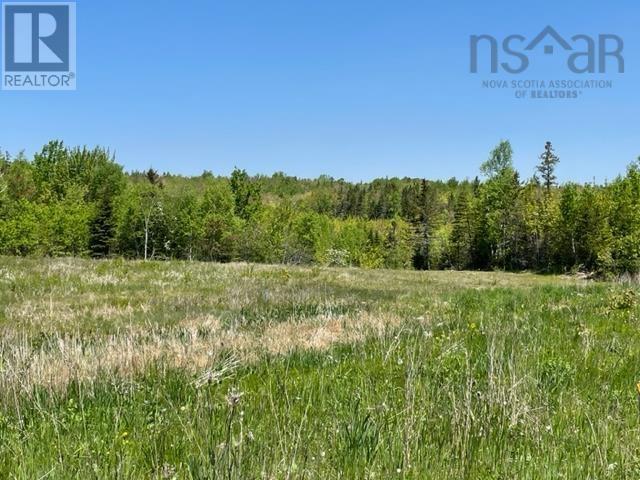 Lot 4 Alexander Drive, Baddeck, Nova Scotia  B0E 1B0 - Photo 7 - 202413034