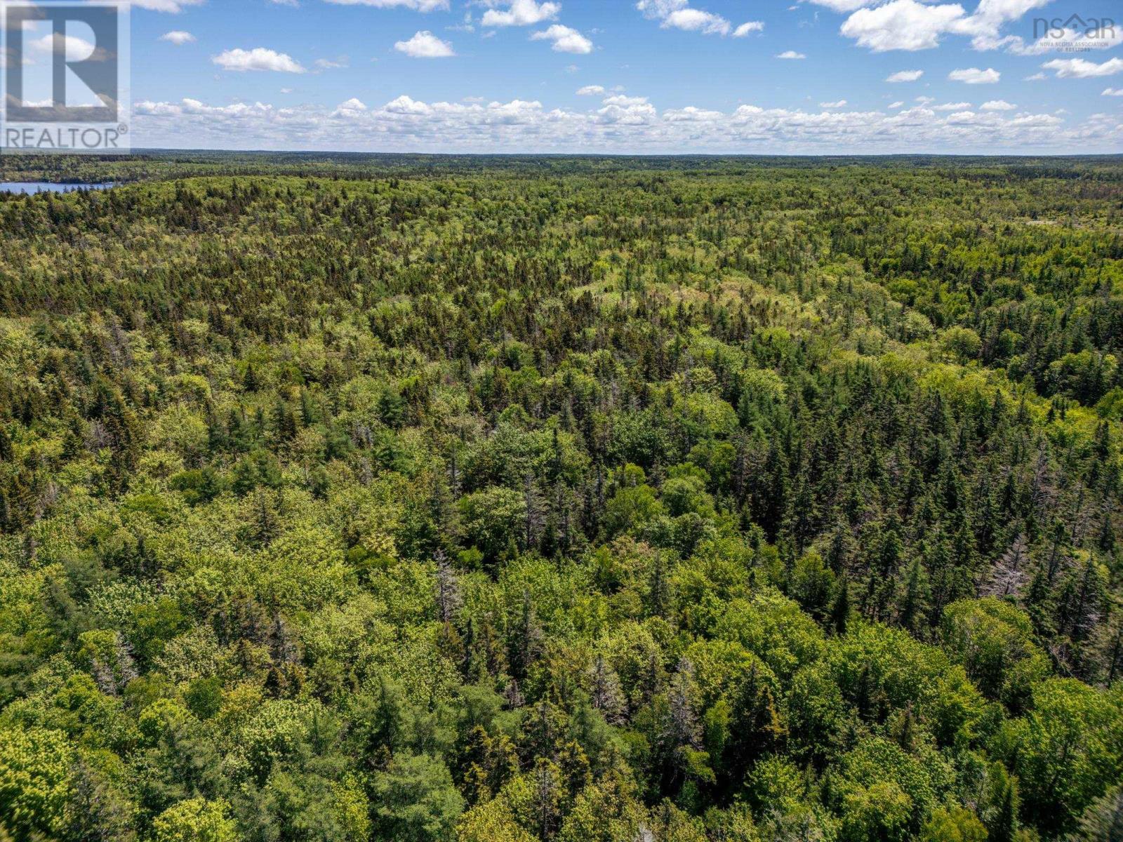 Lot Highway 1, Beaver River, Nova Scotia  B5A 5B1 - Photo 6 - 202413249