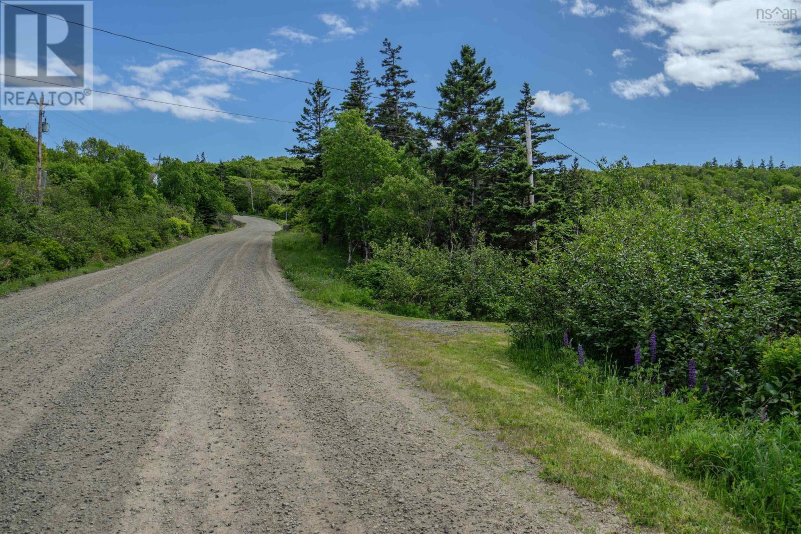 223 Whale Cove Road, Whale Cove, Nova Scotia  B0V 1E0 - Photo 25 - 202413277