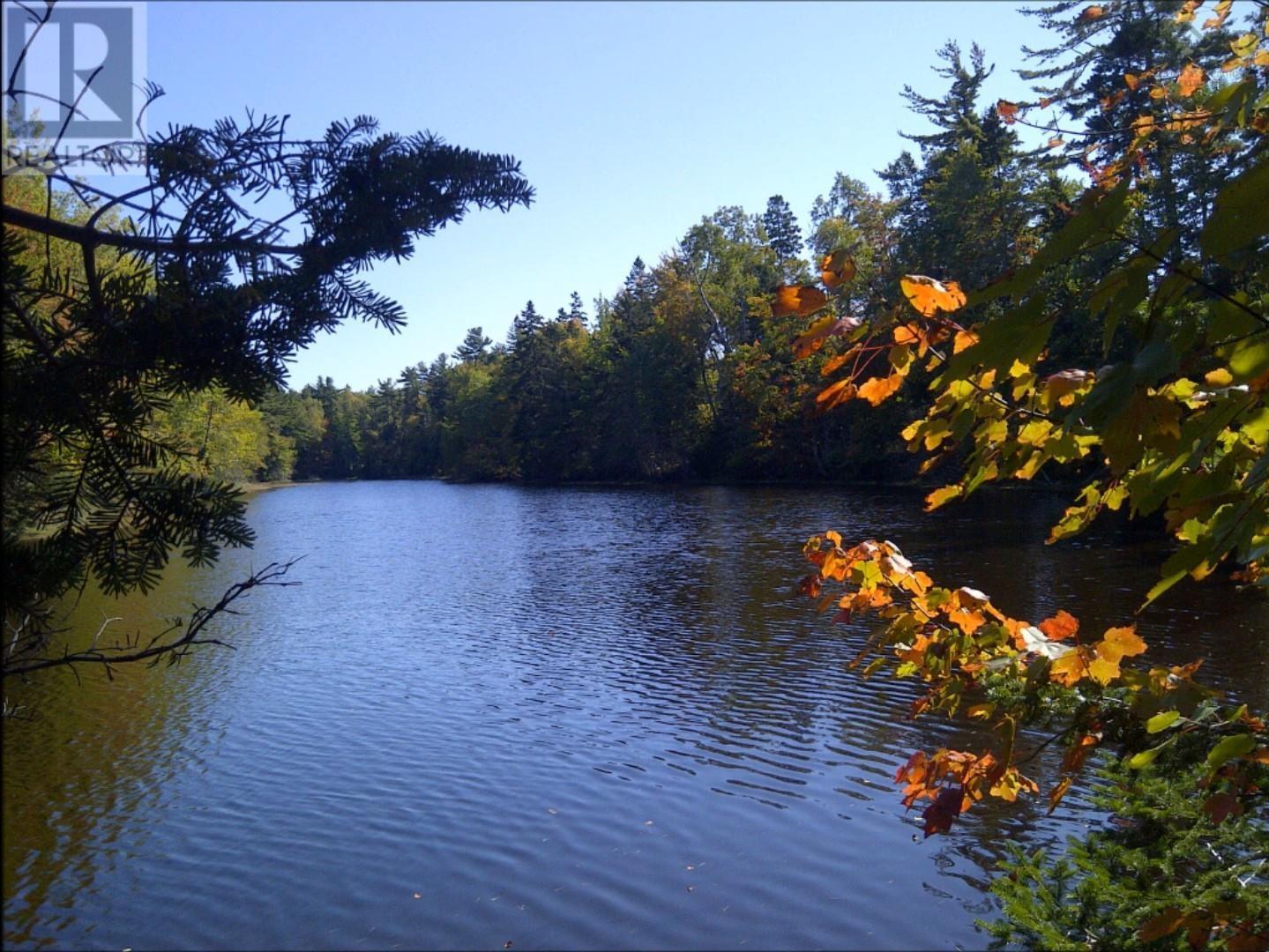 Lot 2010-1 & Lot 2010-2 Highway 321, Rockley, Nova Scotia  B0M 1P0 - Photo 6 - 202413332