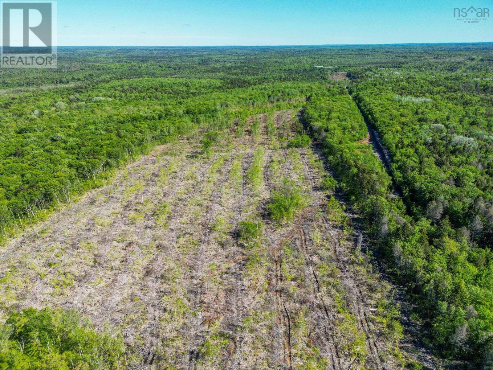 Danvers Road, Danvers, Nova Scotia  B0W 3T0 - Photo 10 - 202413419