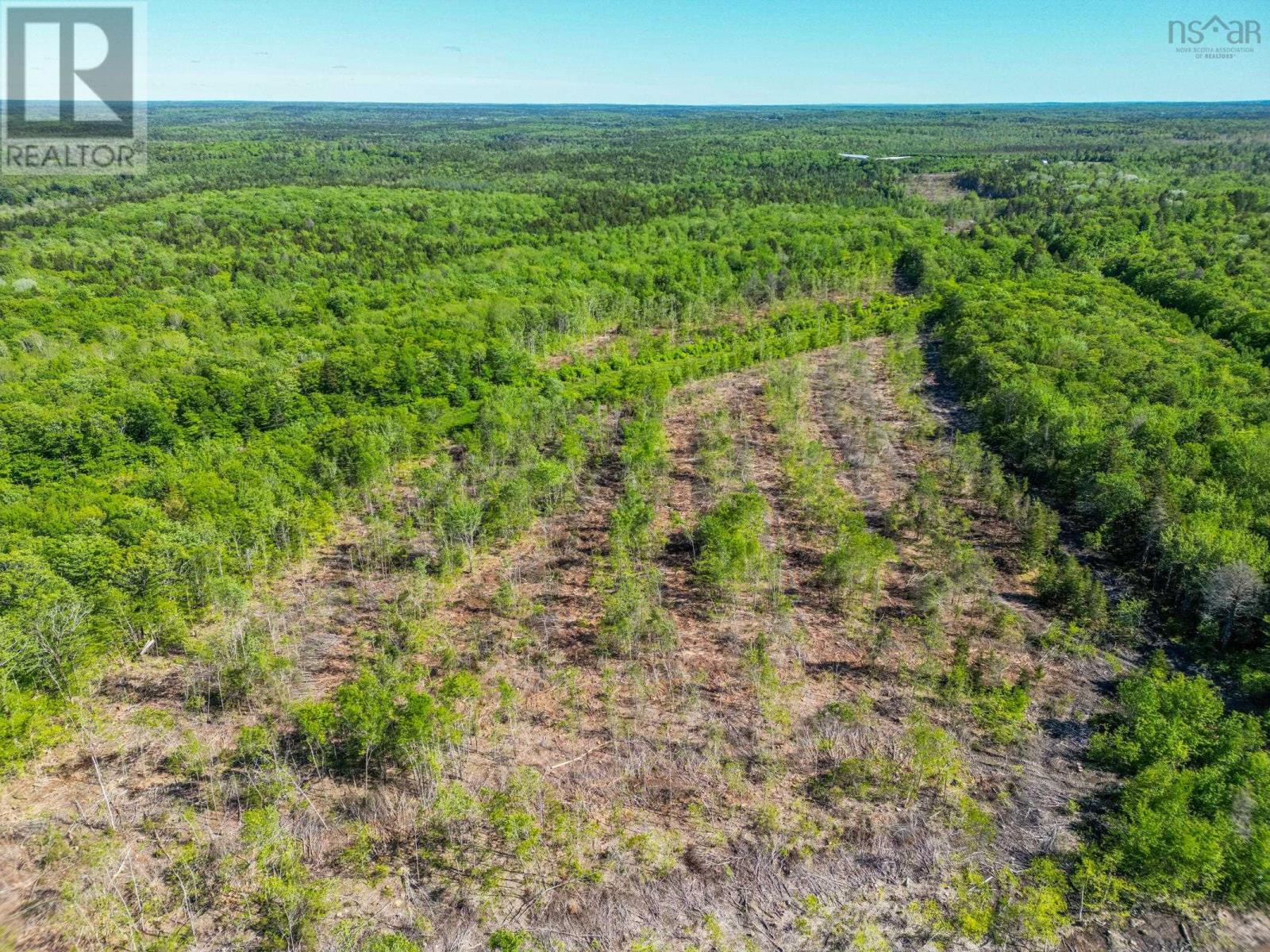 Danvers Road, Danvers, Nova Scotia  B0W 3T0 - Photo 12 - 202413419