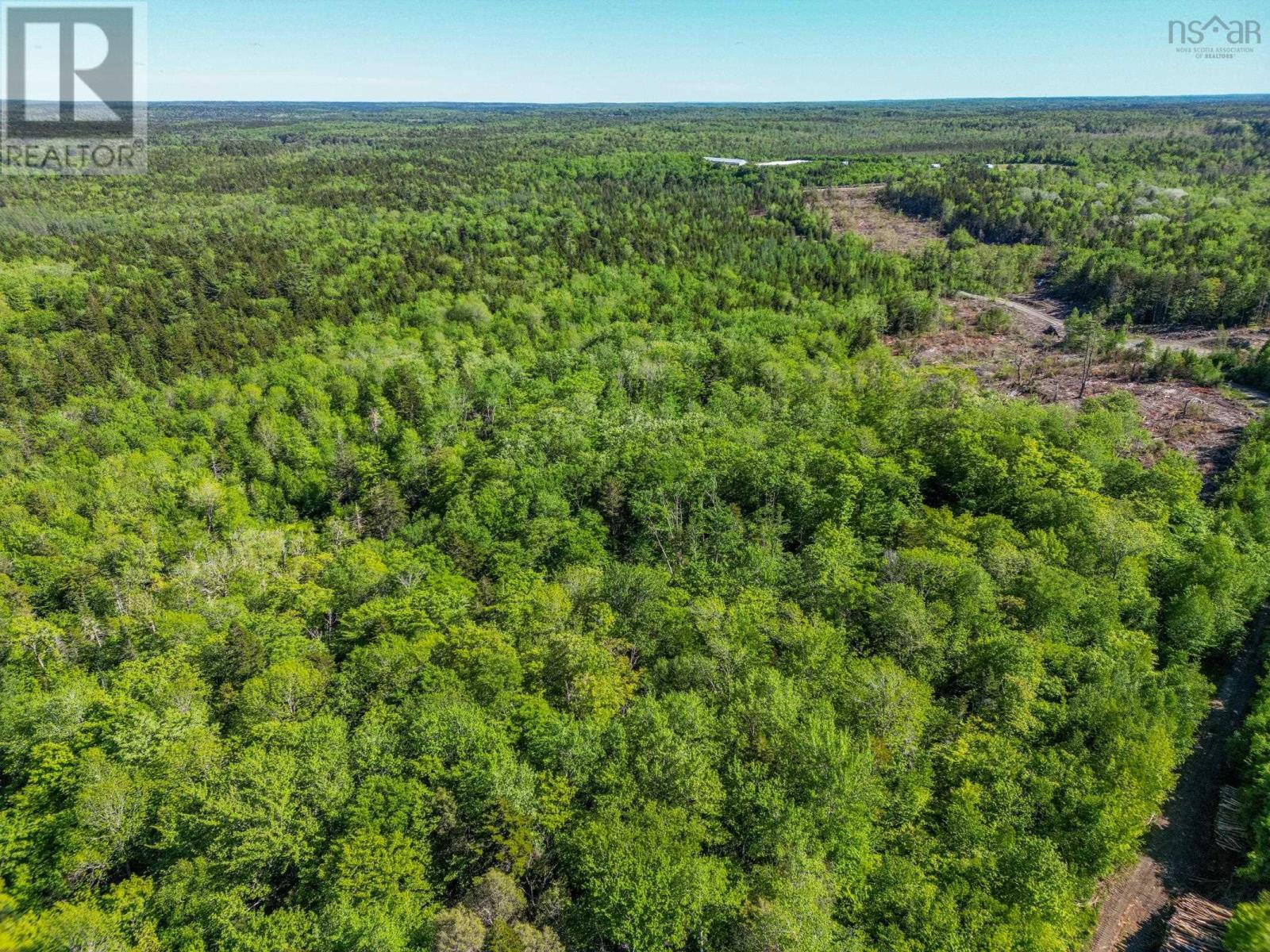 Danvers Road, Danvers, Nova Scotia  B0W 3T0 - Photo 15 - 202413419