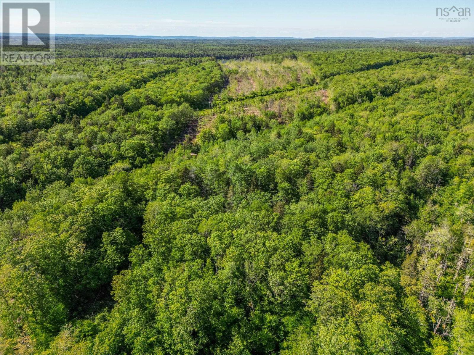 Danvers Road, Danvers, Nova Scotia  B0W 3T0 - Photo 16 - 202413419