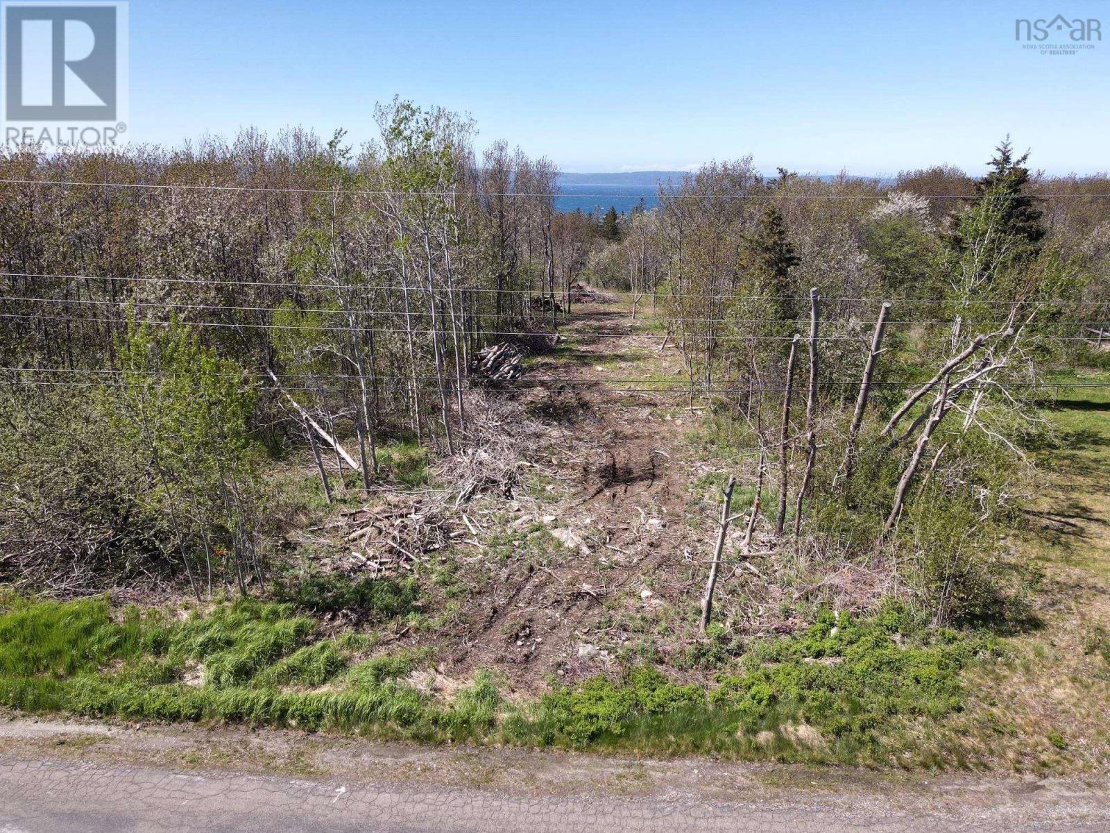 Lot 1 Fort Point Road, Ashmore, Nova Scotia  B0W 3T0 - Photo 4 - 202413438