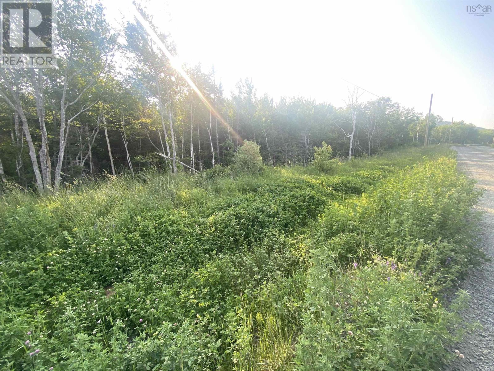 Lot Mabou Mines Road, Mabou Harbour, Nova Scotia  B0E 1X0 - Photo 24 - 202413447