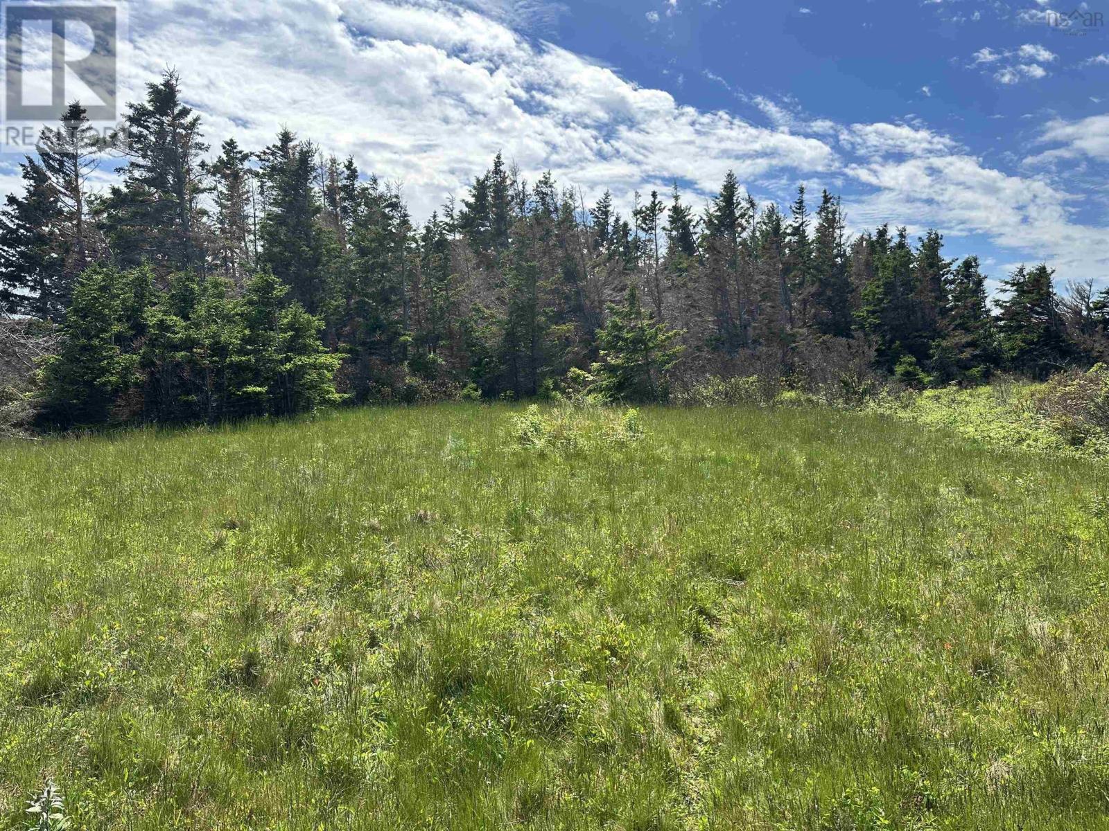 Lot Roys Island, Kings Head, Nova Scotia  B2H 5C5 - Photo 11 - 202413473