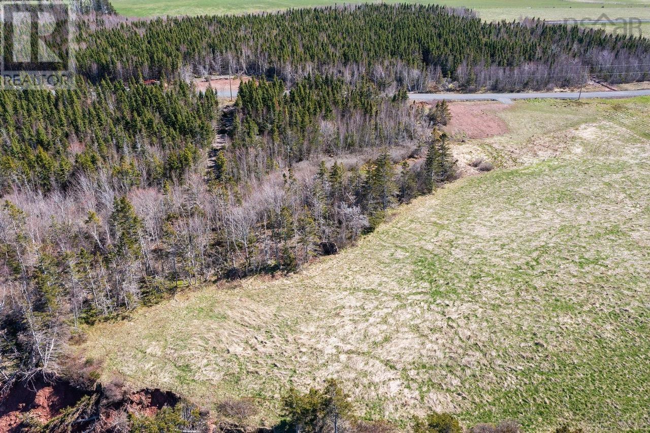 10 Pugwash Point Road, Pugwash, Nova Scotia  B0K 1L0 - Photo 29 - 202413521